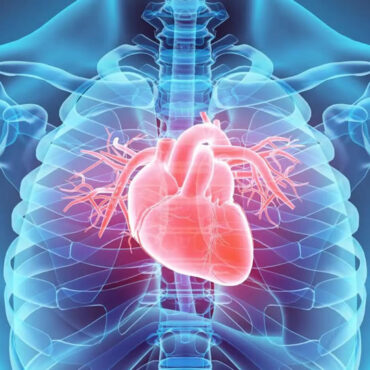Au cœur de la santé ! Le flash info sur les maladies cardiométaboliques