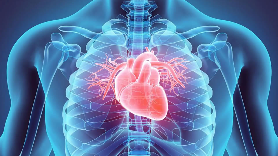 Au cœur de la santé ! Le flash info sur les maladies cardiométaboliques