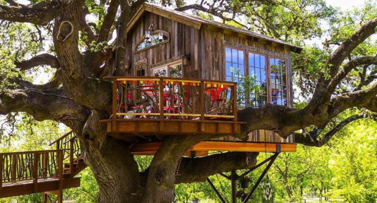 En Australie, un hôtel offre des chambres dans les arbres pour une immersion en pleine nature