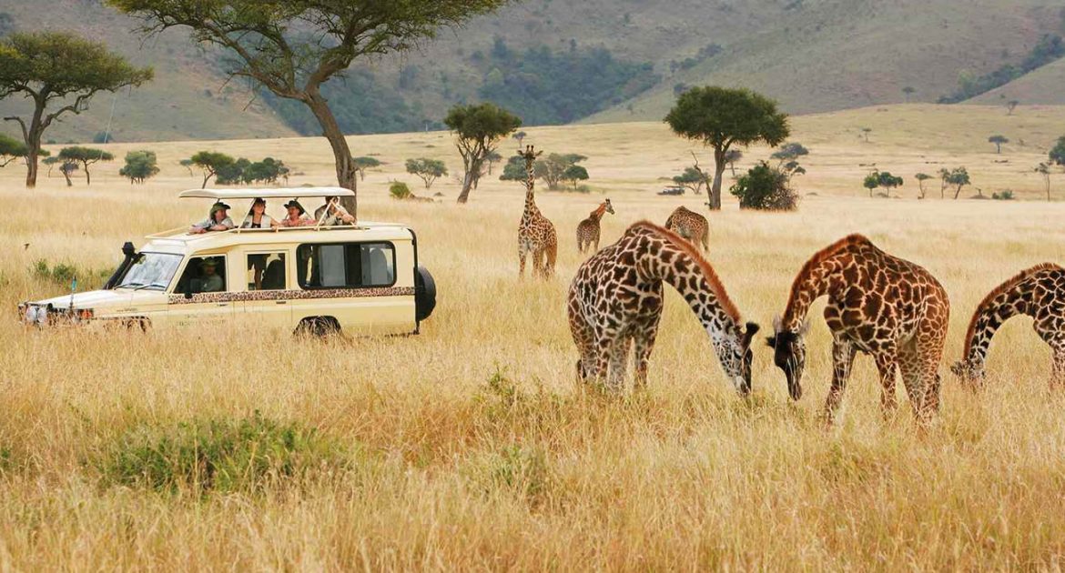 En Afrique du Sud, des safaris silencieux en véhicules électriques rapprochent les visiteurs de la faune