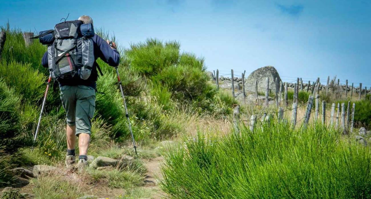 Un randonneur miraculé après une rencontre brutale avec un sanglier dans les Hautes-Pyrénées