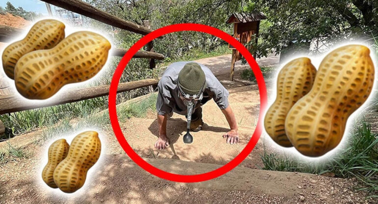 Un homme établi un record mondial en poussant une cacahuète jusqu'au sommet d'une montagne... avec son nez !